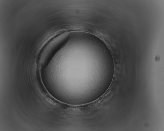 X0000096630194200802121055
