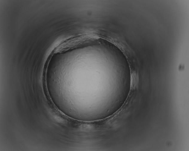 X0000096630195200802121055