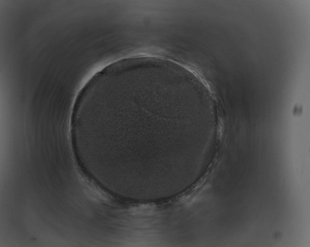 X0000096630196200802121055