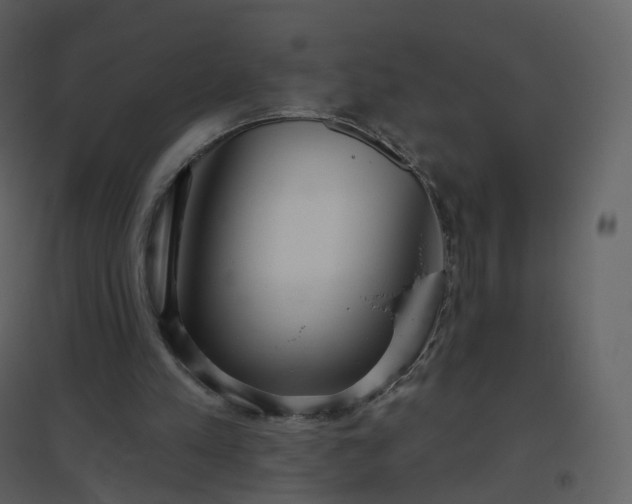 X0000096630197200802121055