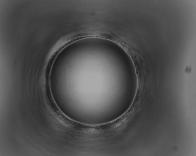 X0000096630198200802121055