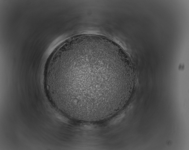 X0000096630199200802121055