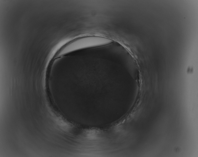 X0000096630200200802121055