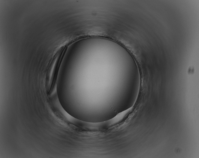 X0000096630201200802121054