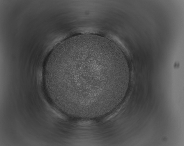 X0000096630202200802121054