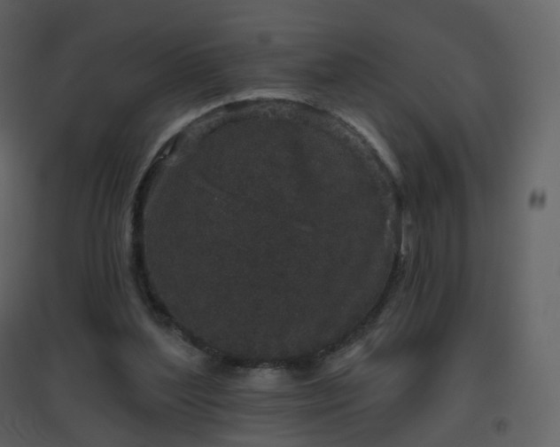 X0000096630204200802121054