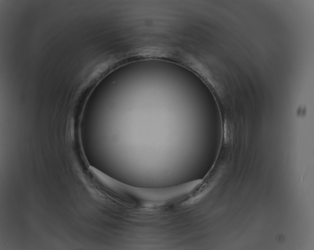 X0000096630205200802121054