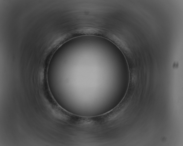 X0000096630206200802121054