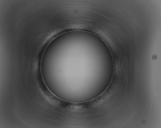 X0000096630208200802121054