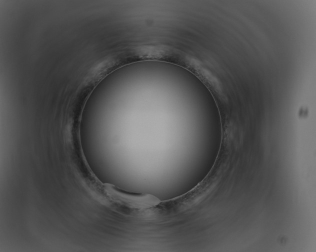 X0000096630209200802121054