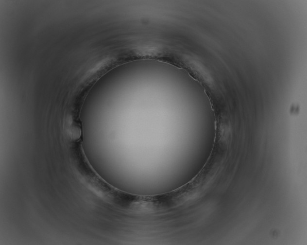 X0000096630211200802121054