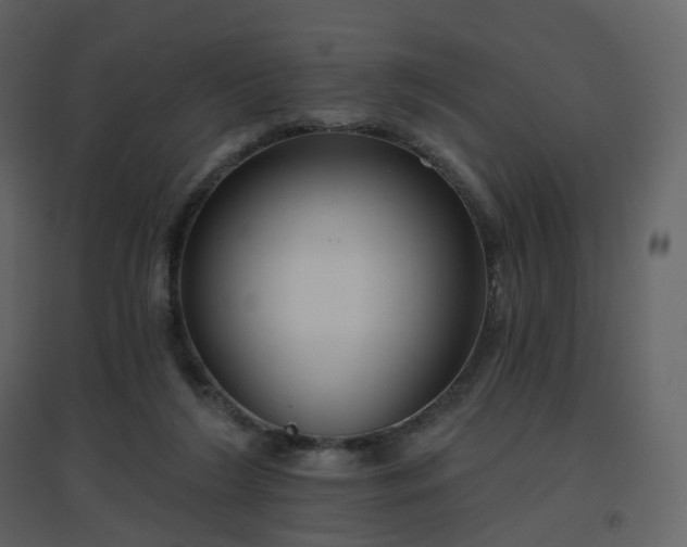 X0000096630212200802121054