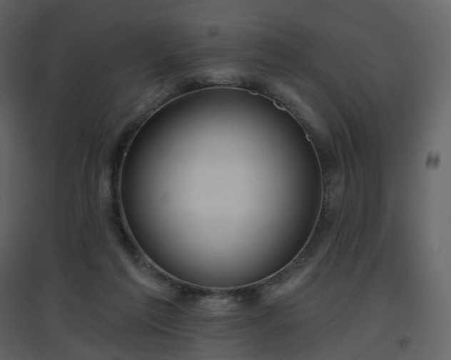 X0000096630213200802121054