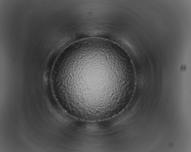 X0000096630214200802121054