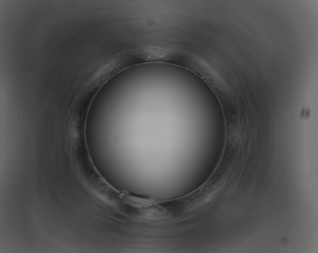 X0000096630215200802121054