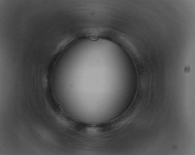 X0000096630216200802121054