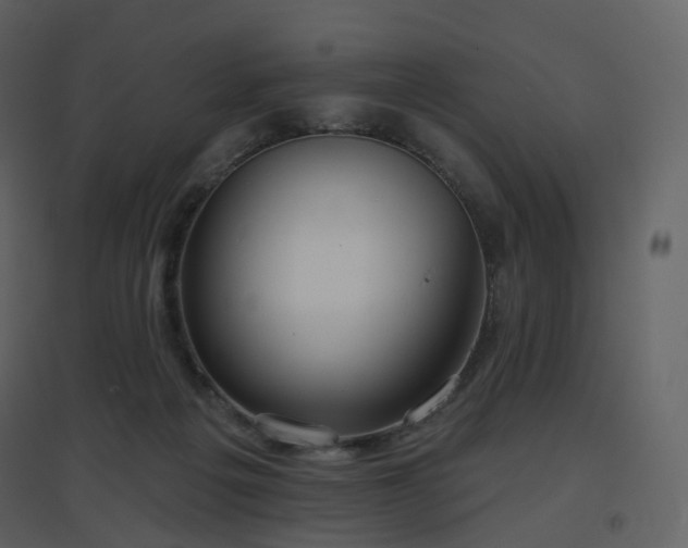 X0000096630217200802121054