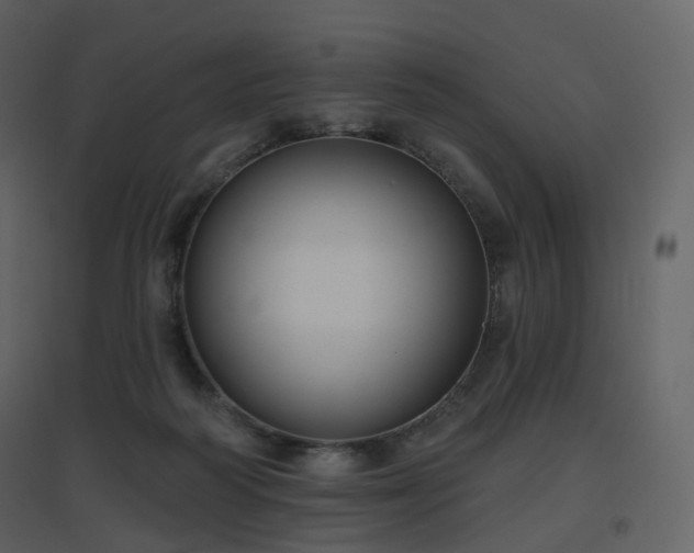 X0000096630218200802121054