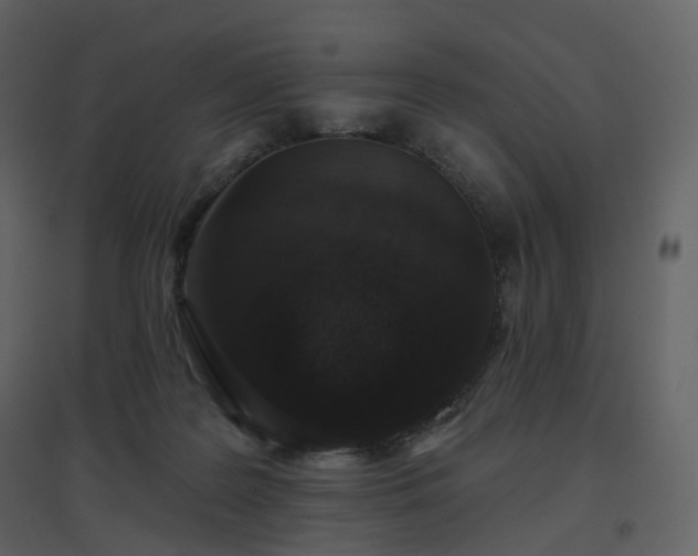 X0000096630219200802121054
