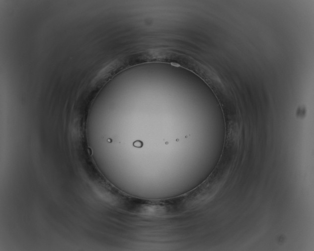 X0000096630220200802121054