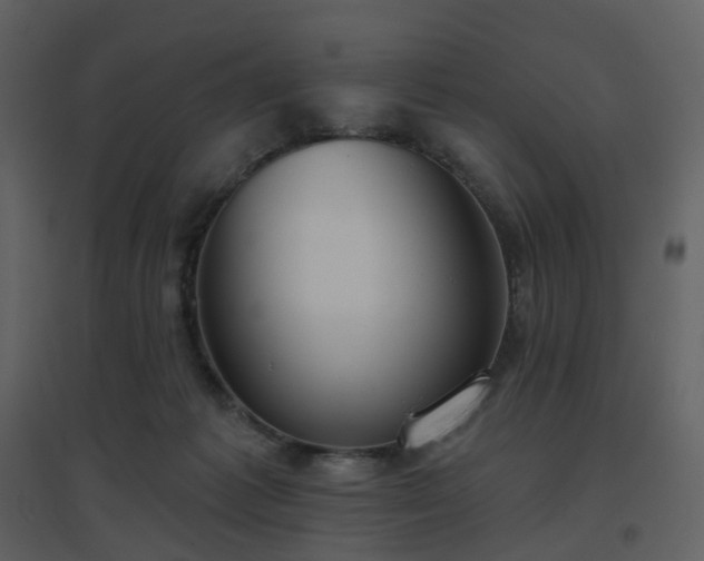 X0000096630221200802121054