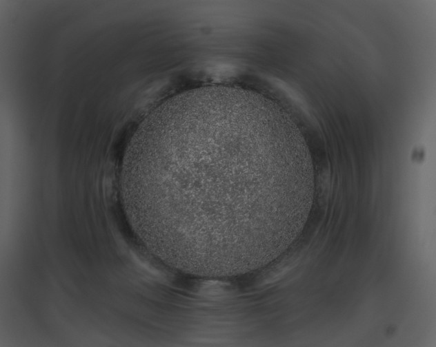 X0000096630222200802121054
