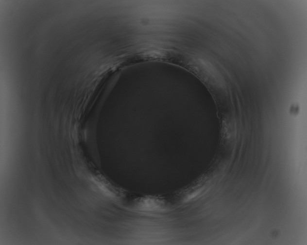 X0000096630223200802121054