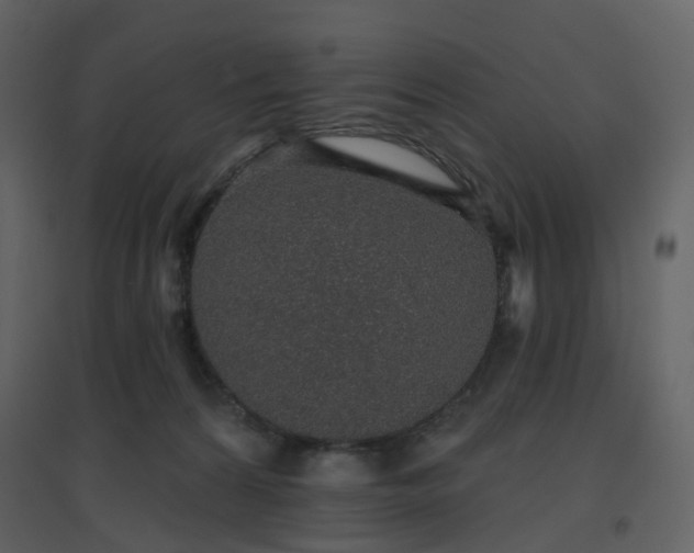 X0000096630224200802121054