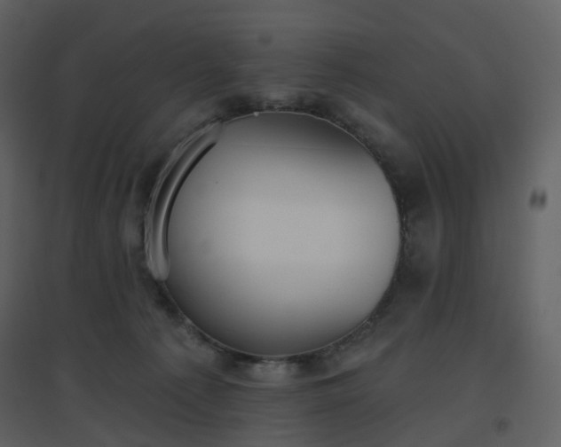 X0000096630225200802121054