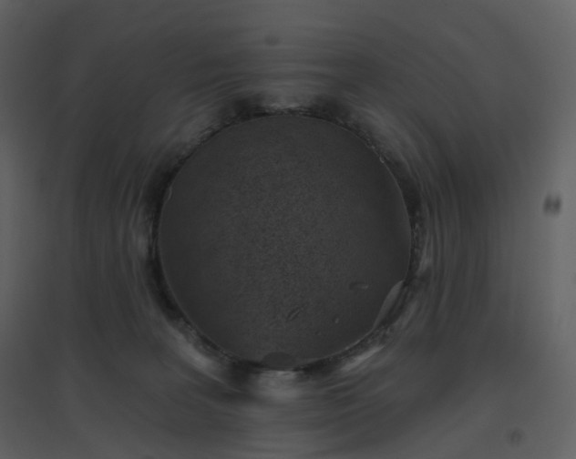 X0000096630227200802121054