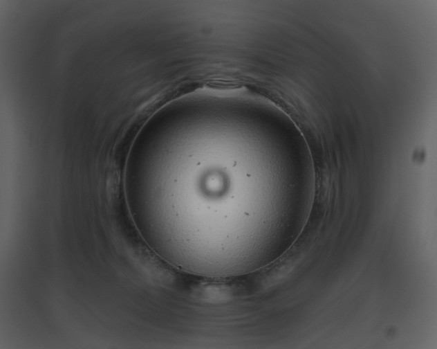 X0000096630228200802121054
