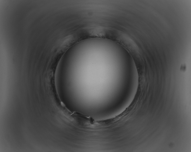 X0000096630229200802121054