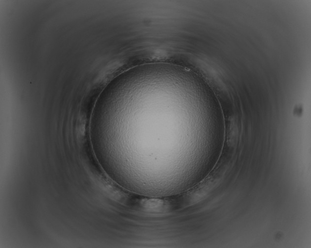 X0000096630230200802121054