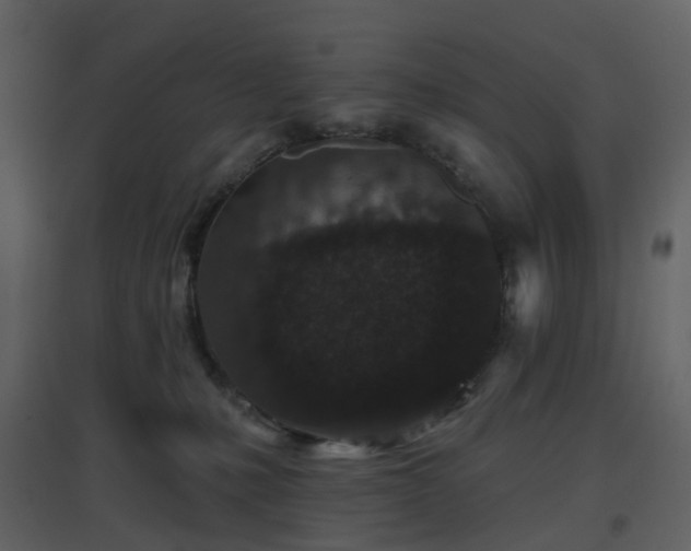 X0000096630231200802121054