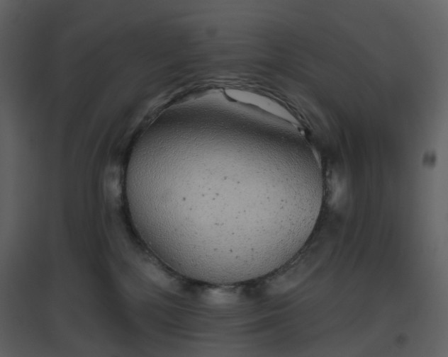 X0000096630232200802121054