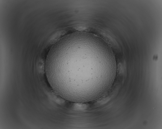 X0000096630234200802121054