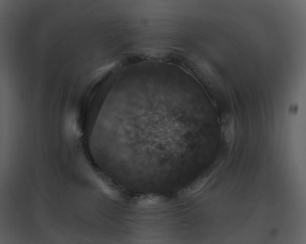 X0000096630235200802121054