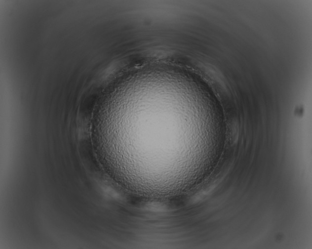 X0000096630236200802121054