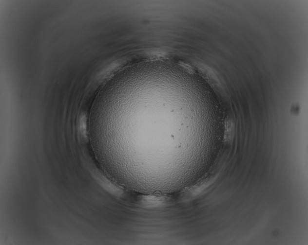 X0000096630238200802121054
