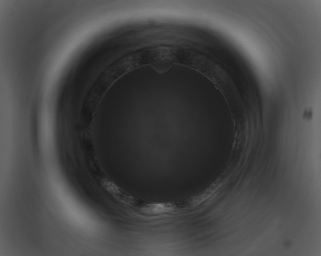 X0000096630239200802121054