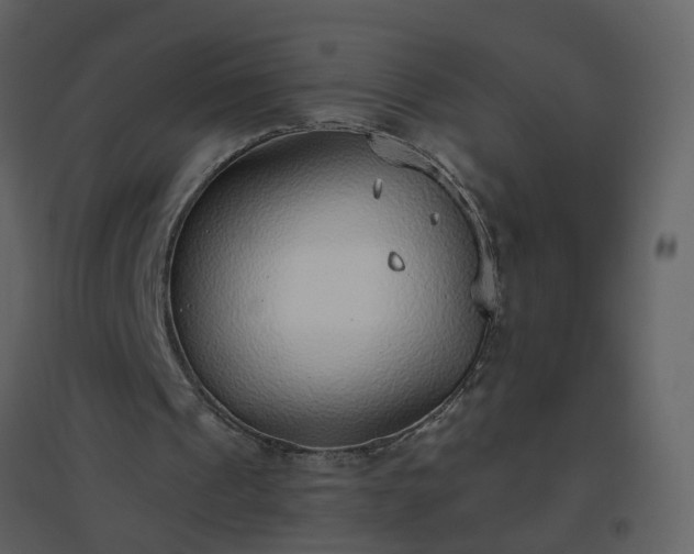 X0000096630241200802121053