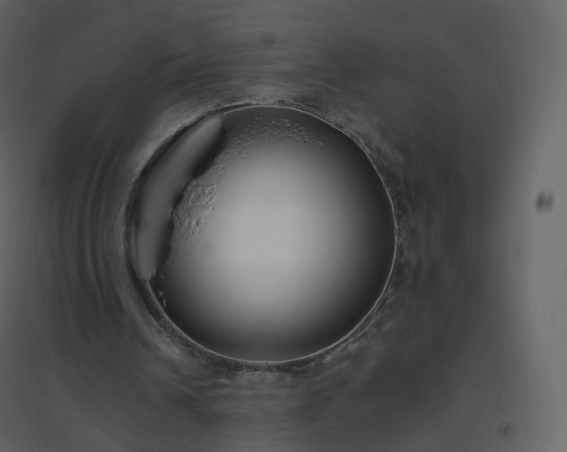 X0000096630242200802121053