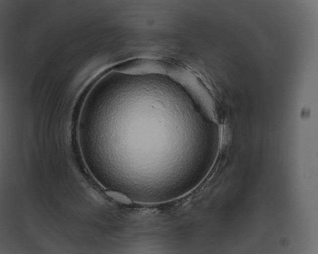 X0000096630243200802121053
