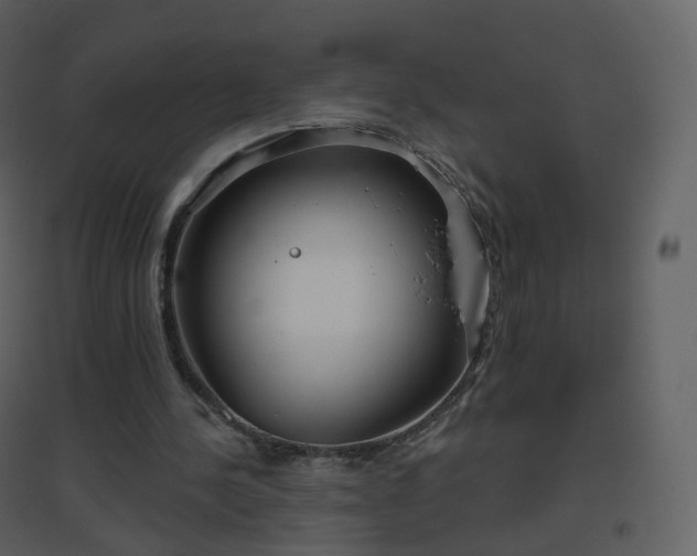 X0000096630244200802121053