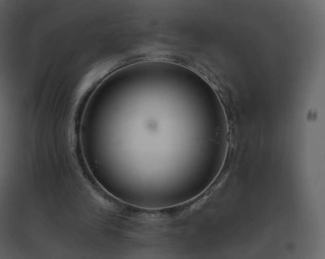 X0000096630245200802121053