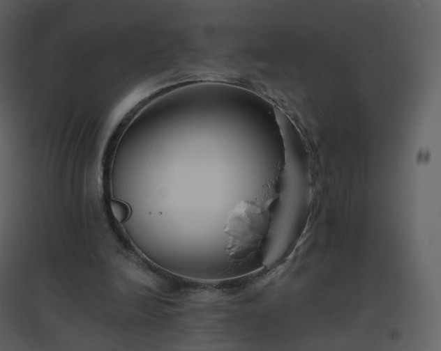 X0000096630246200802121053