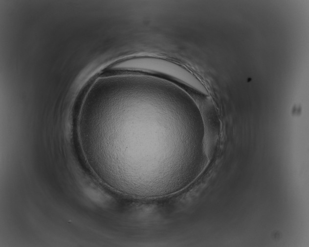 X0000096630247200802121053