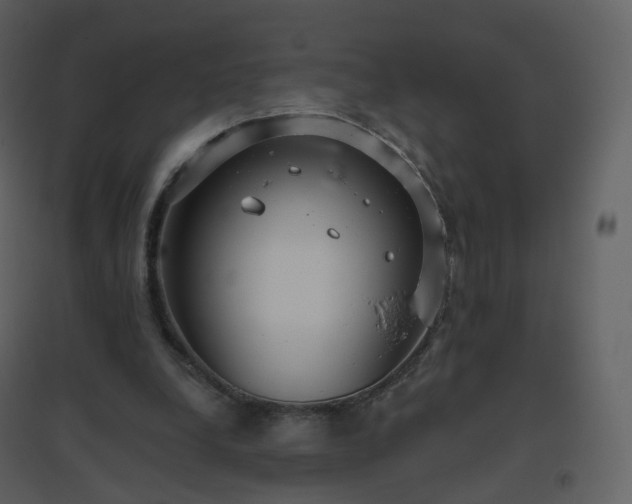 X0000096630248200802121053