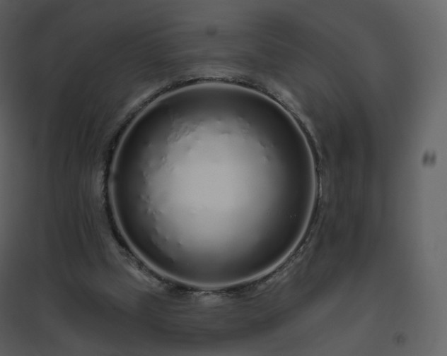 X0000096630249200802121053