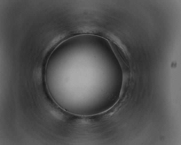 X0000096630250200802121053